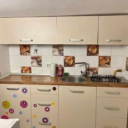Tampa Residence บราชอฟ ภายนอก รูปภาพ