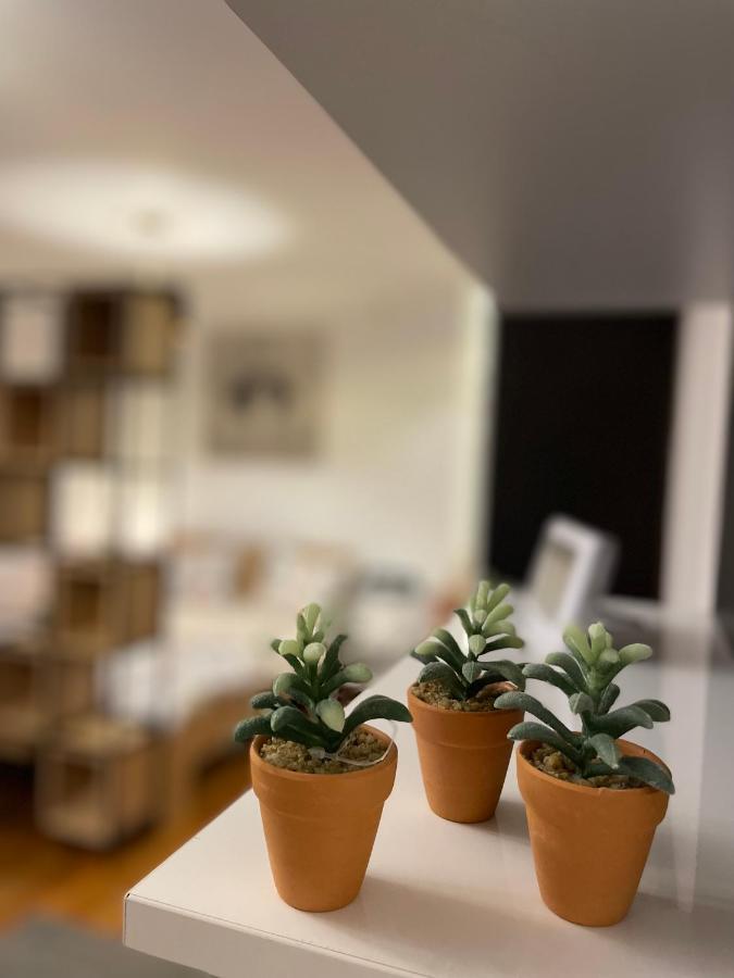 Tampa Residence บราชอฟ ภายนอก รูปภาพ