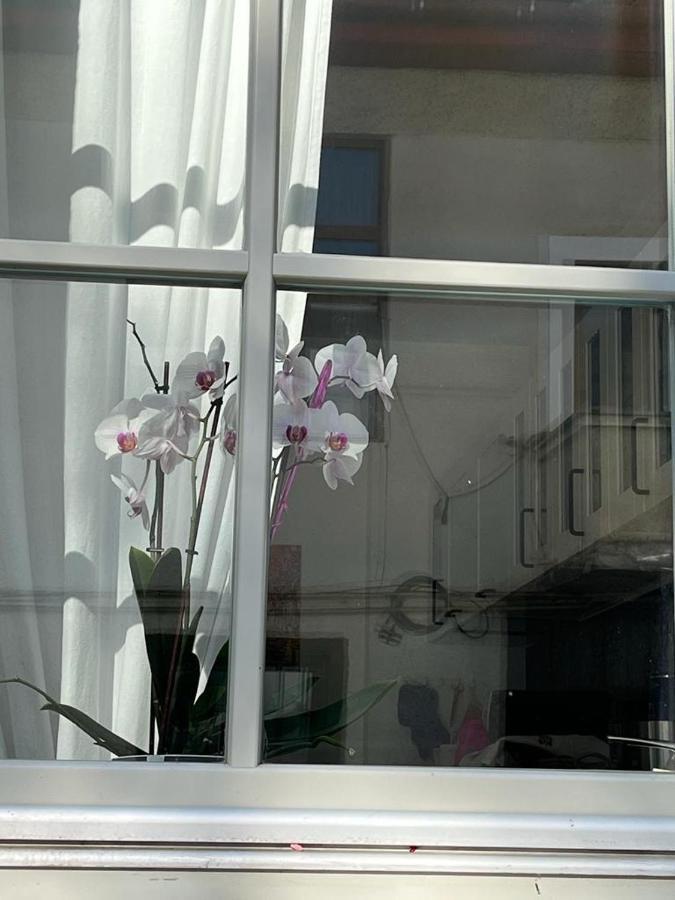 Tampa Residence บราชอฟ ภายนอก รูปภาพ